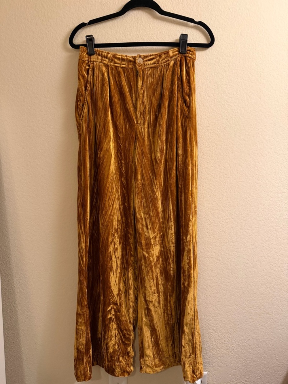 Free People Velvet Pants